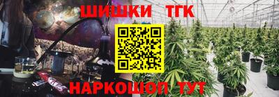 гашик Ливны