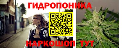 гашик Ливны