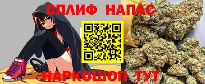 сатива Лесосибирск