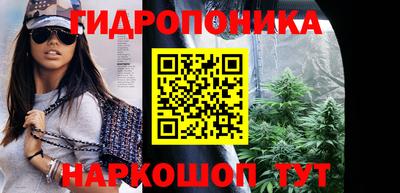 сатива Лесосибирск