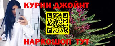 сатива Лесосибирск