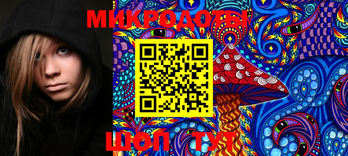 Тольятти  Псилоцибиновые грибы GOLDEN TEACHER  Вход с VPN 